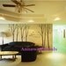 Birds,nature:wall decals, nature wall decals, vinyl wall decal, nature wall decal stickers, birch tree wall decal, nursery wall stickers