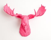 Faux Moose Head - The Phillipa - Pink Resin - Moose Resin Pink Faux Taxidermy- Chic & Trendy