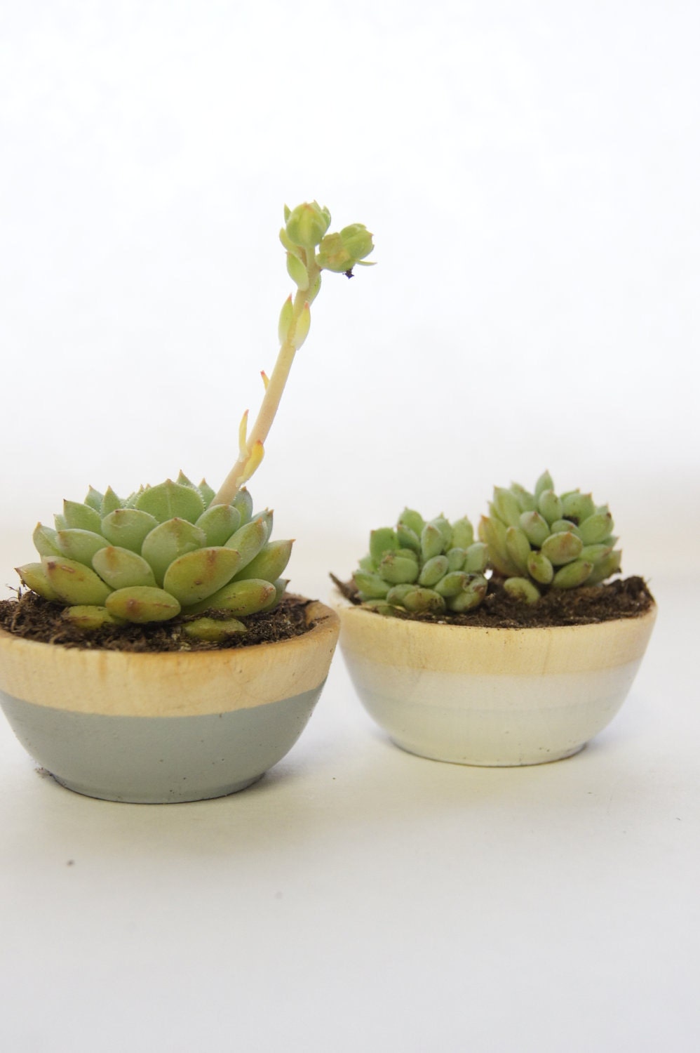 Wooden Mini Bowls Set of Two: Grey and White, Perfect Natural Wedding Favors