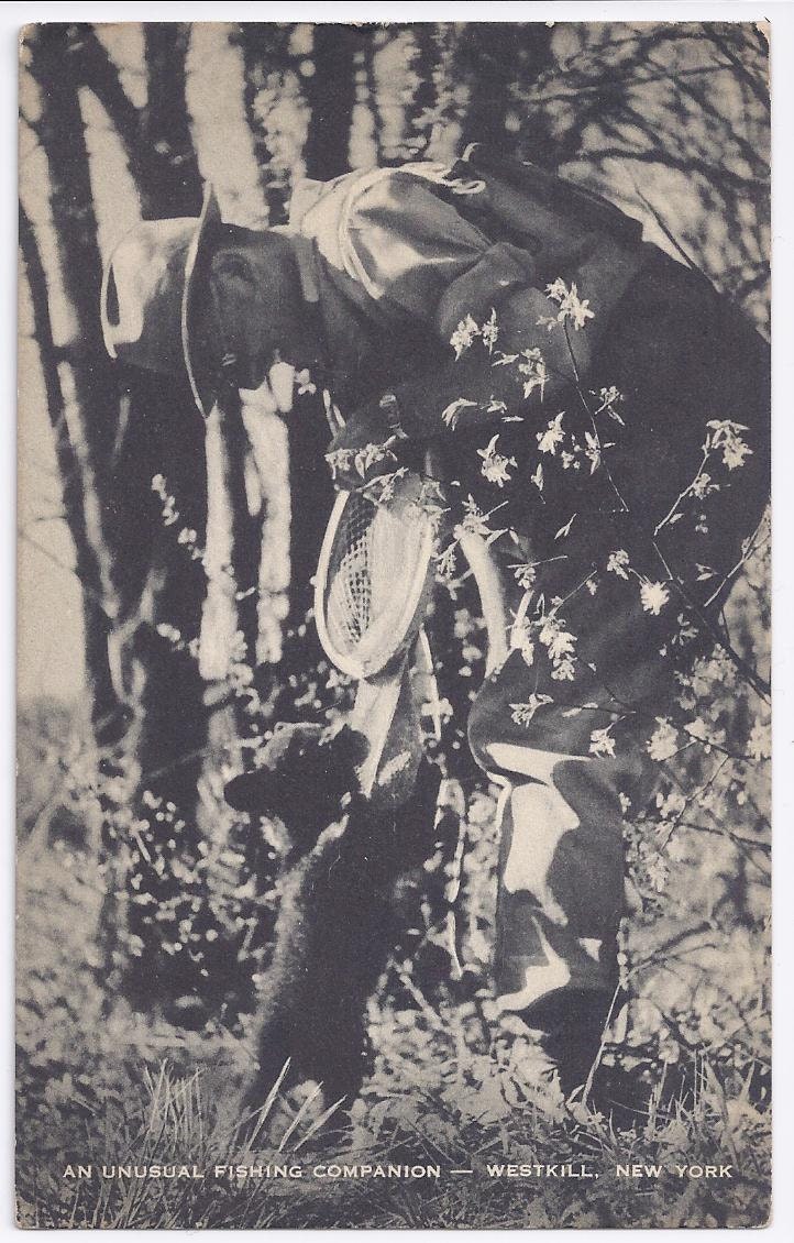 SUPER BIG SALE 1950s Vintage Postcard: An Unusual Fishing Companion -- Westkill, New York (Bear Cub)