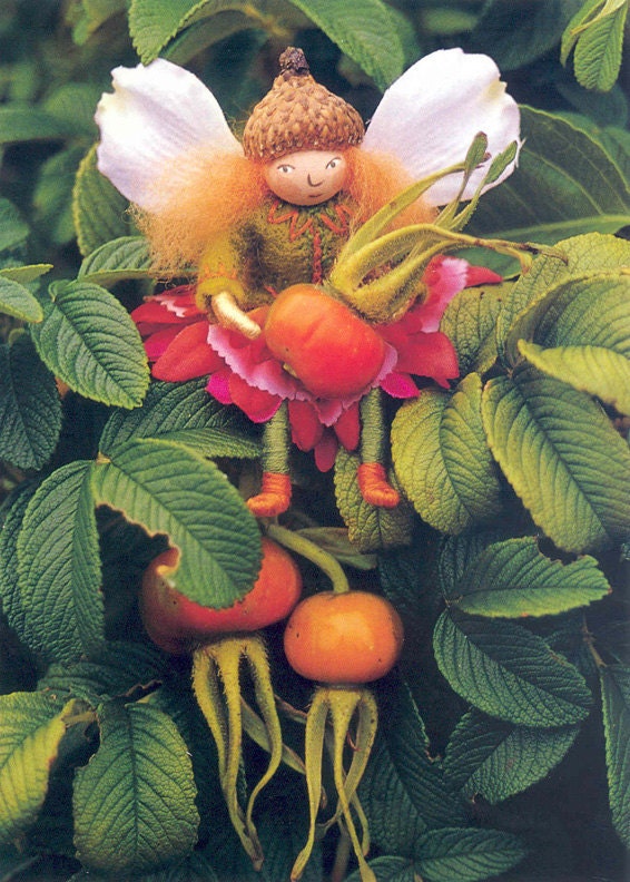 Blossom Fairy Note Cards from Felt Wee Folk Book