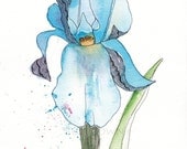 Blue Iris Flower Watercolor Art Painting Drawing 8x10" Print (unframed)