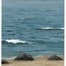 SALE Sea - Joe Lillington