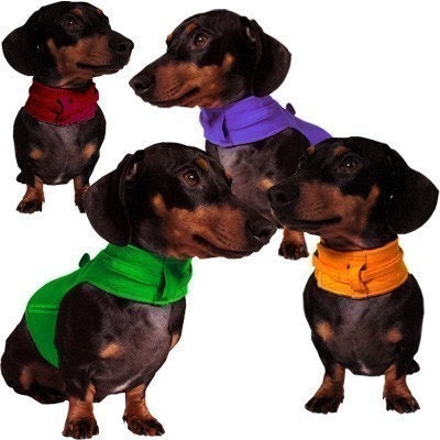 Eco Dog Harness - Renewable Solid Colored Cotton - Large