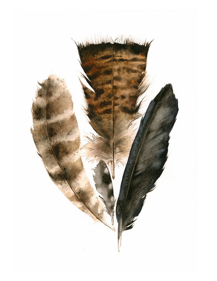 Found Feathers Archival Print, nature, art