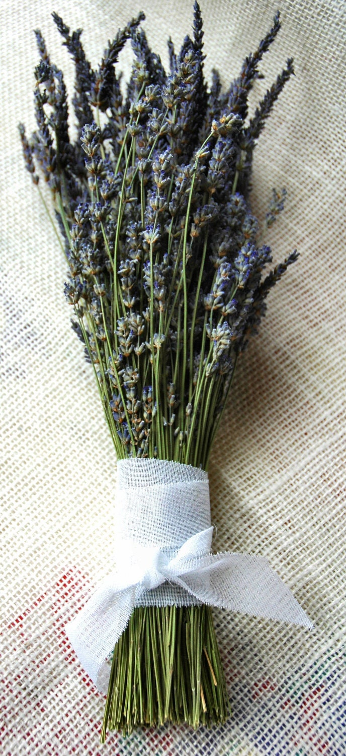 1 Dried Lavender Bouquet with Hand Tied White Cotton Love Knot