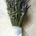 1 Dried Lavender Bouquet with Hand Tied White Cotton Love Knot