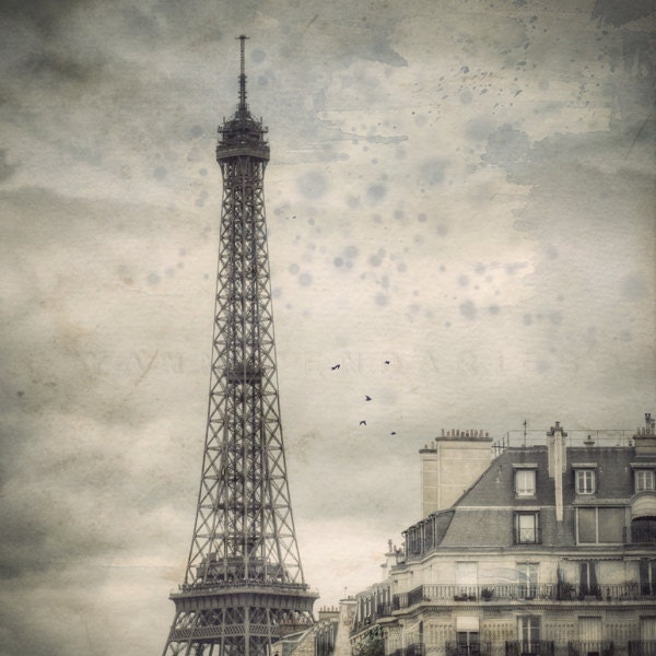 Black and white photography, Paris Decor, Paris Photography, Lanscape photography, France, Photograph Art Print, Paris photo, 6x6 (15x15cm) - PhotographyDream