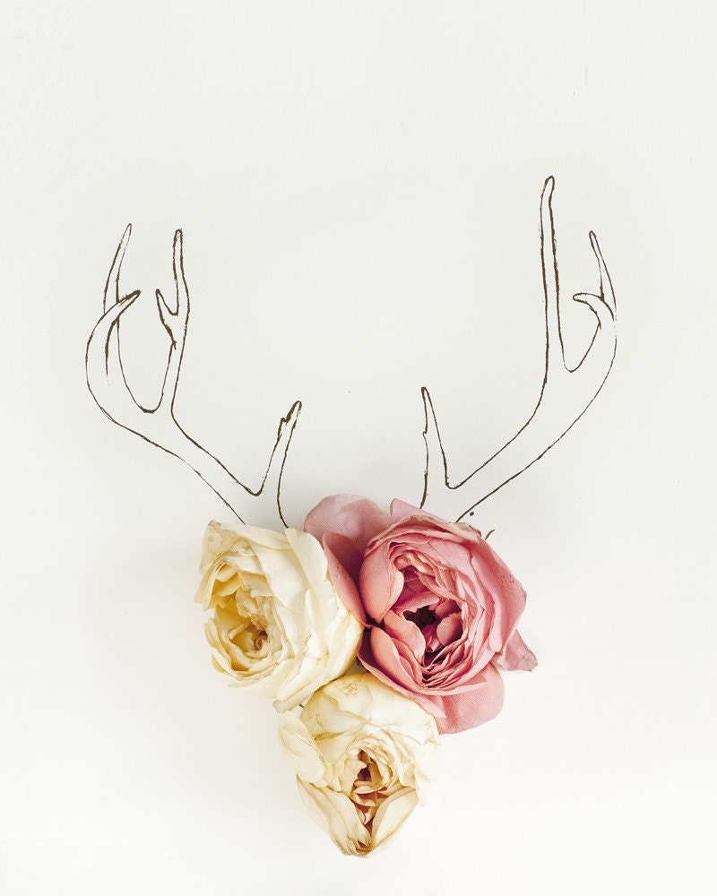 Antler illustration and Flower No. 4217