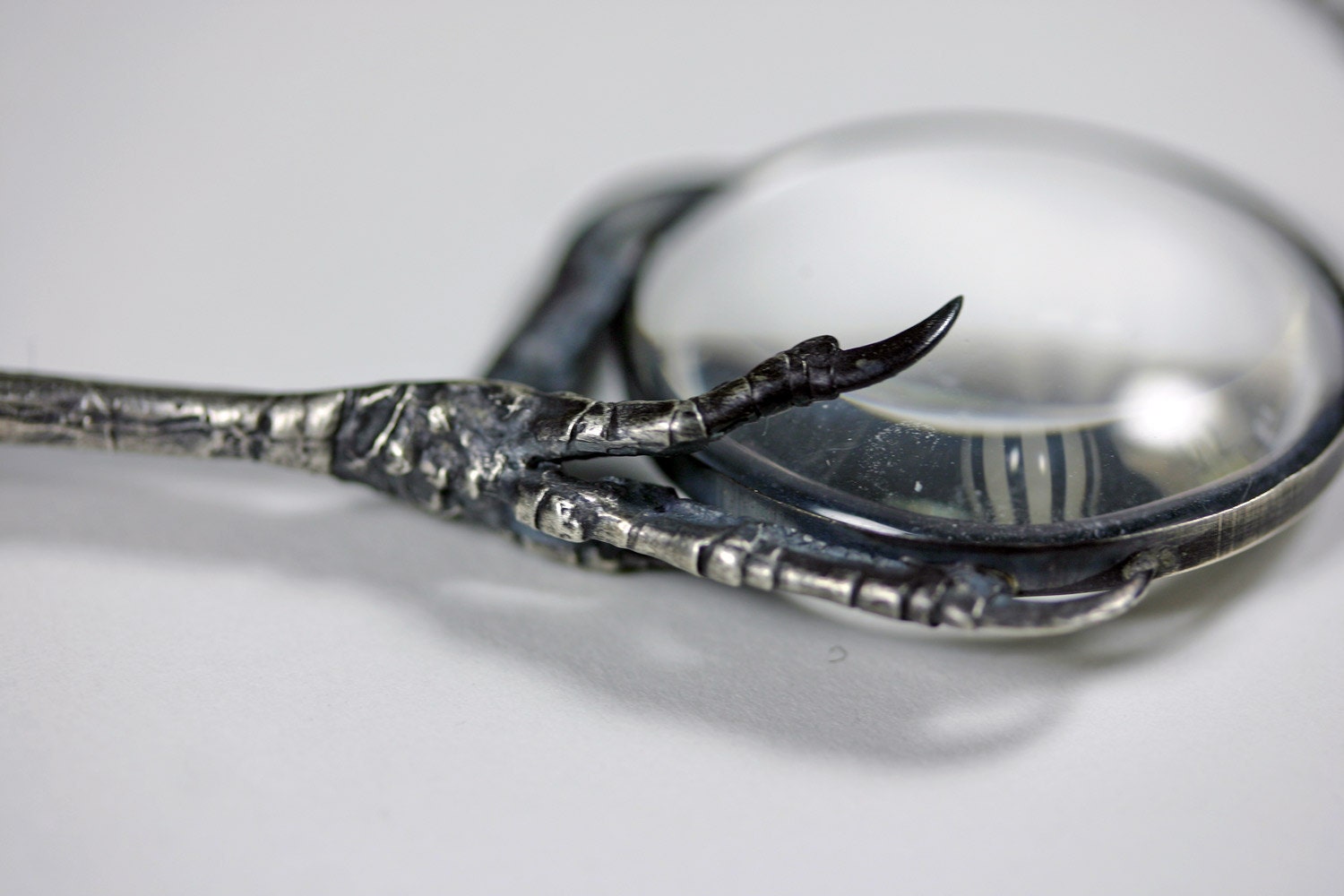 the oracle. magnifying glass and starling claw necklace.