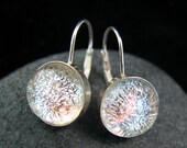 Dichroic Earrings - Sterling Silver Leverback Earrings - Silver Frost - Ready to Ship