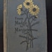 From Madge to Margaret - 1880 first edition - Carroll Winchester - Extremely rare find