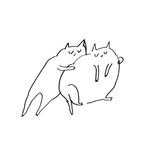 Cat Card- Cat Squeeze- Set of 2