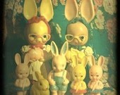 Colorful Plastic Rabbit Photography Print - All Bunnies Go to Heaven
