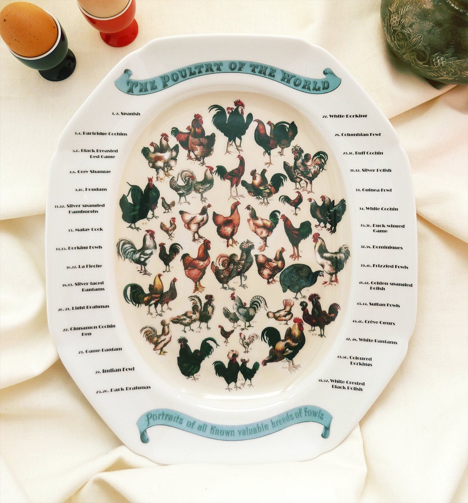 Unique Porcelain Turkey Platter for Thanksgiving w Antique Heritage Chicken Breeds