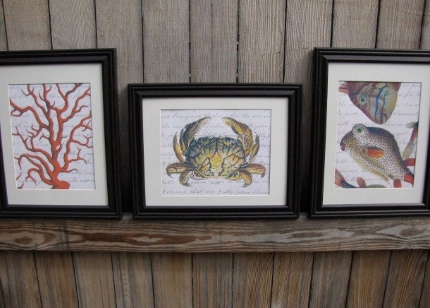 Coastal Decor Art Prints - YOUR CHOICE of three