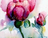 Pink Rose giclee watercolor print  4x6
