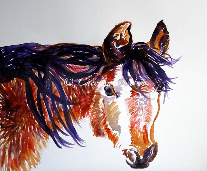 Horse Art - My Shaggy Winter Pony WaterColour - original painting