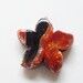 Orange Black Starfish Agate Large Crab Fire Agate Starfish Pendant Under Sea 45mm x45mm