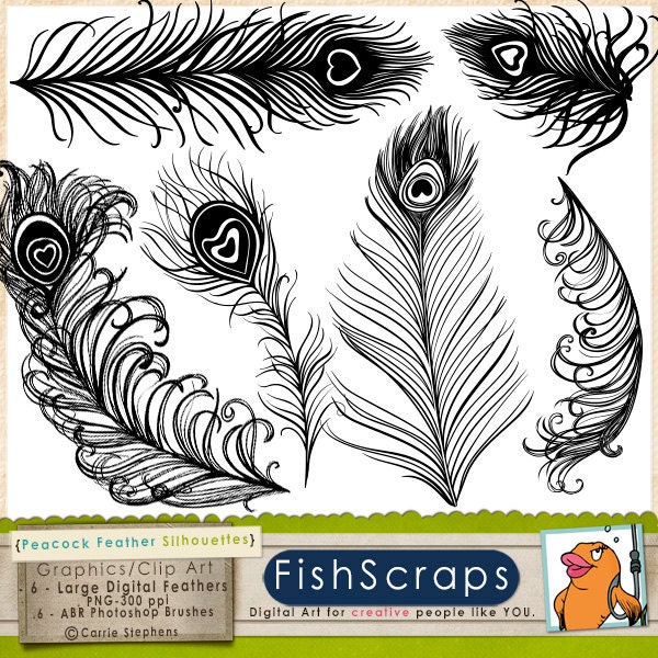 Peacock Feather Clip Art - Silhouette Digital Graphics - ABR Photoshop Brushes & PNG Stamps great for wedding invitations