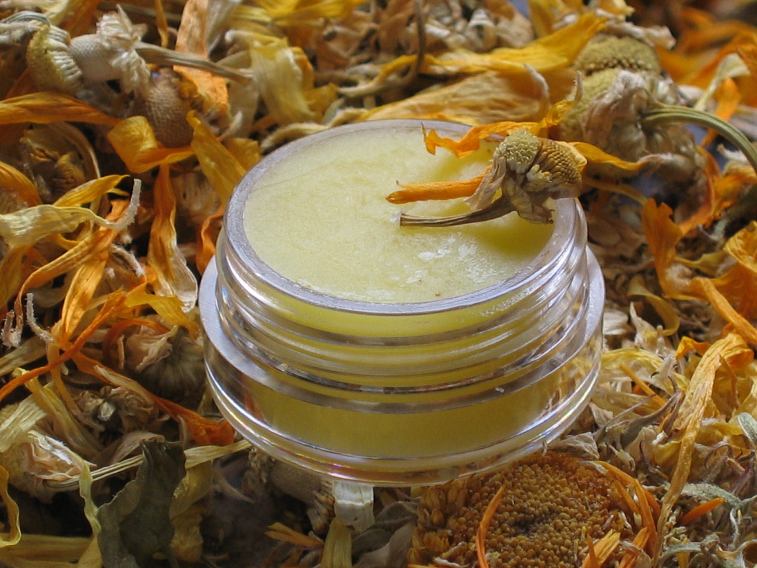 Organic Calendula Chamomile Lip Balm made with Fair Trade Shea butter - MADE the ETSY FRONTPAGE- Heals and protects - in lip pot