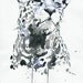 Print of leopard, Watercolour Illustration Print - leopard