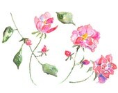 watercolor roses, Watercolor flowers, flower art, cottage decor, Pink Art, art for girls room, pink wall decor - All I Promise - 8x10