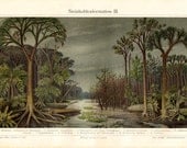 1900s Edwardian  JURASSIC WOODLAND  print, Coal formation in ancestral forests, Primitive landscape of the Jurassic, science lithograph