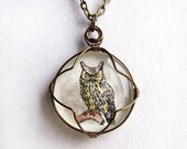 Owl Pendant - hand tinted owl wire wrapped in brass behind a glass cabochon  - Owl Jewelry - Owl Necklace
