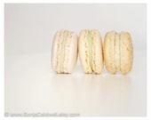 Soft Pastel Macarons - photograph, shabby chic, kitchen decor, food photography, cottage decor - 8x10 Original Fine Art Photograph