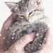 Kitten Photography, Nursery Decor, Kitten in the Snow, Baby Animal Art, Grey White Wall Art, Cute, Snowing 8x10 Print