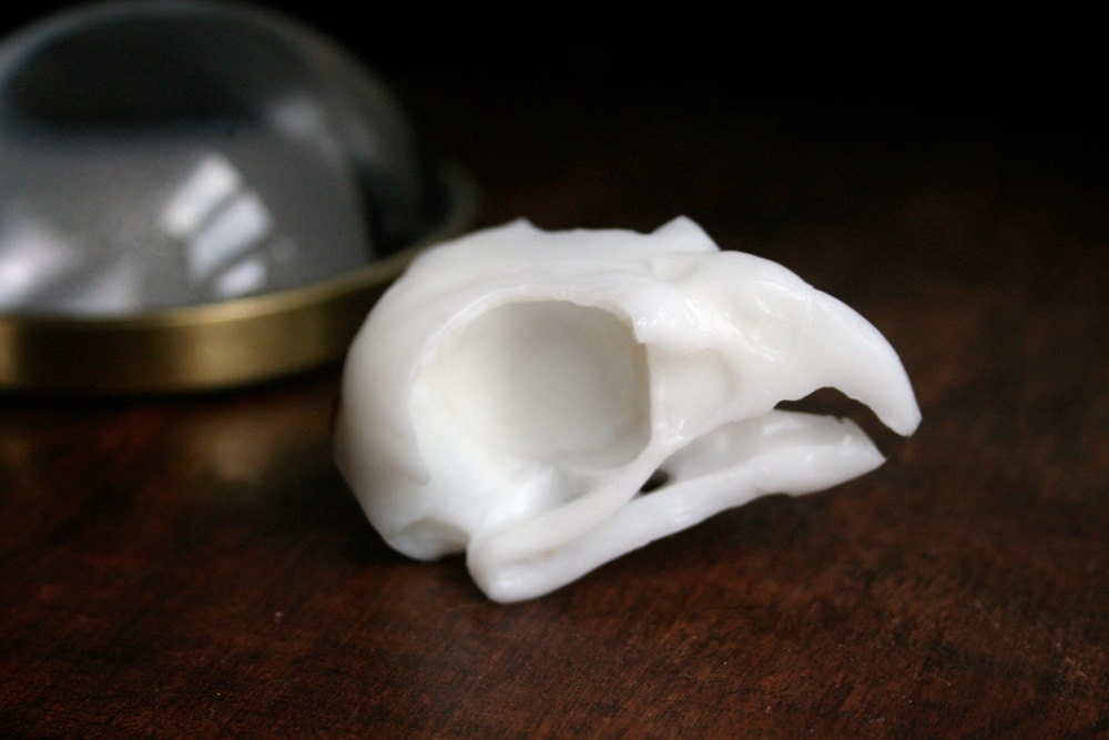 Bird Skull Soap