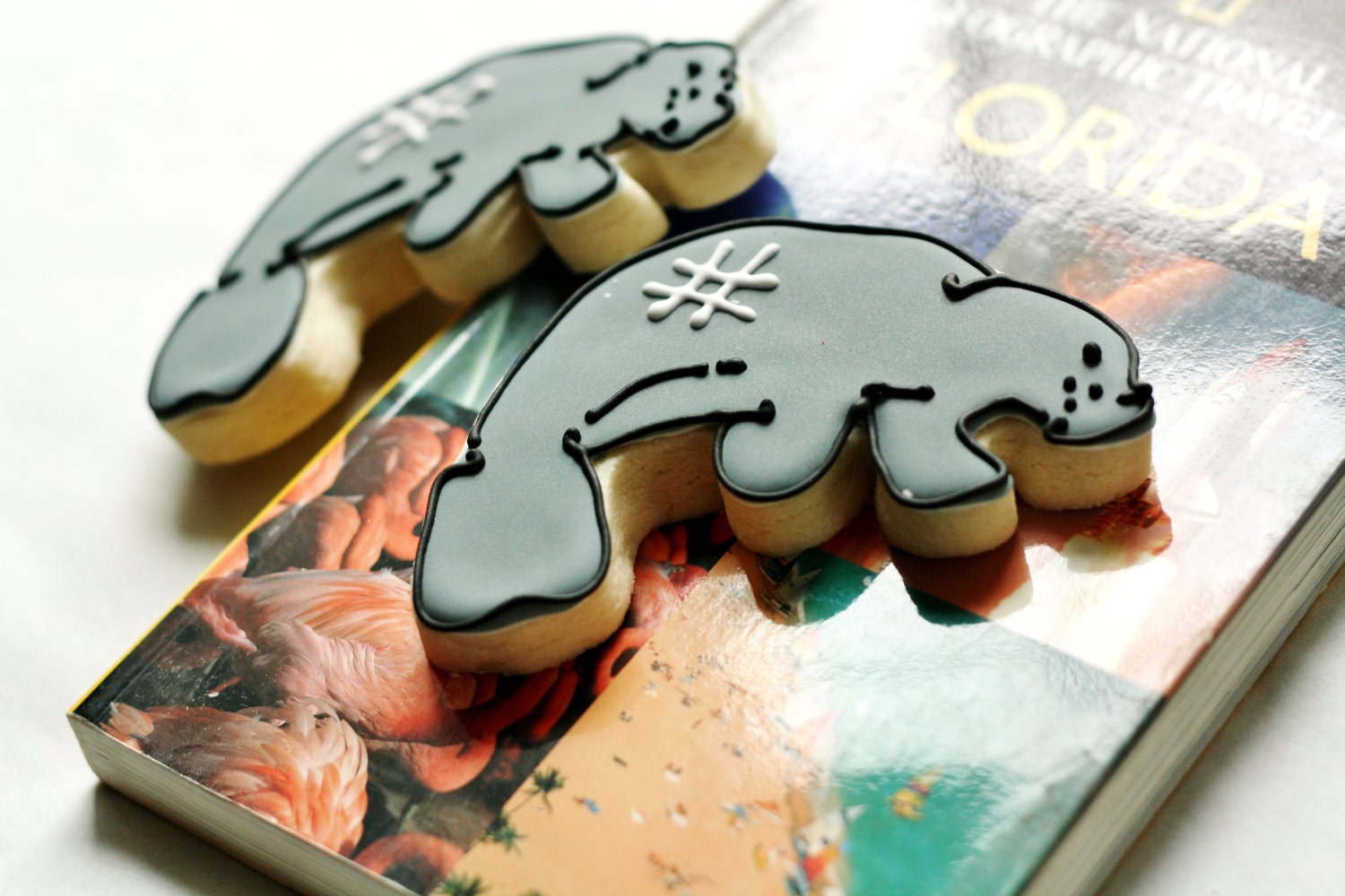 Florida Manatee Decorated Sugar Cookies