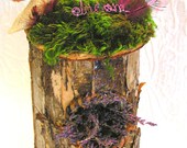 Bird Nest Wedding Tree Woodland