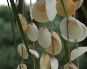Driftwood & Seashell Windchime - Wedding - Ecofriendly - Under 25 - Beach Decor