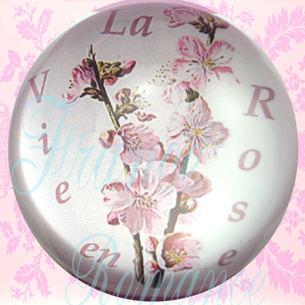 French Glass Paper WEIGHT Paris Chic ' La VIE en ROSE ' Almond Flowers Relaxing Novelty Gift Item Mom Girlfriend Sister Aunt Daughter