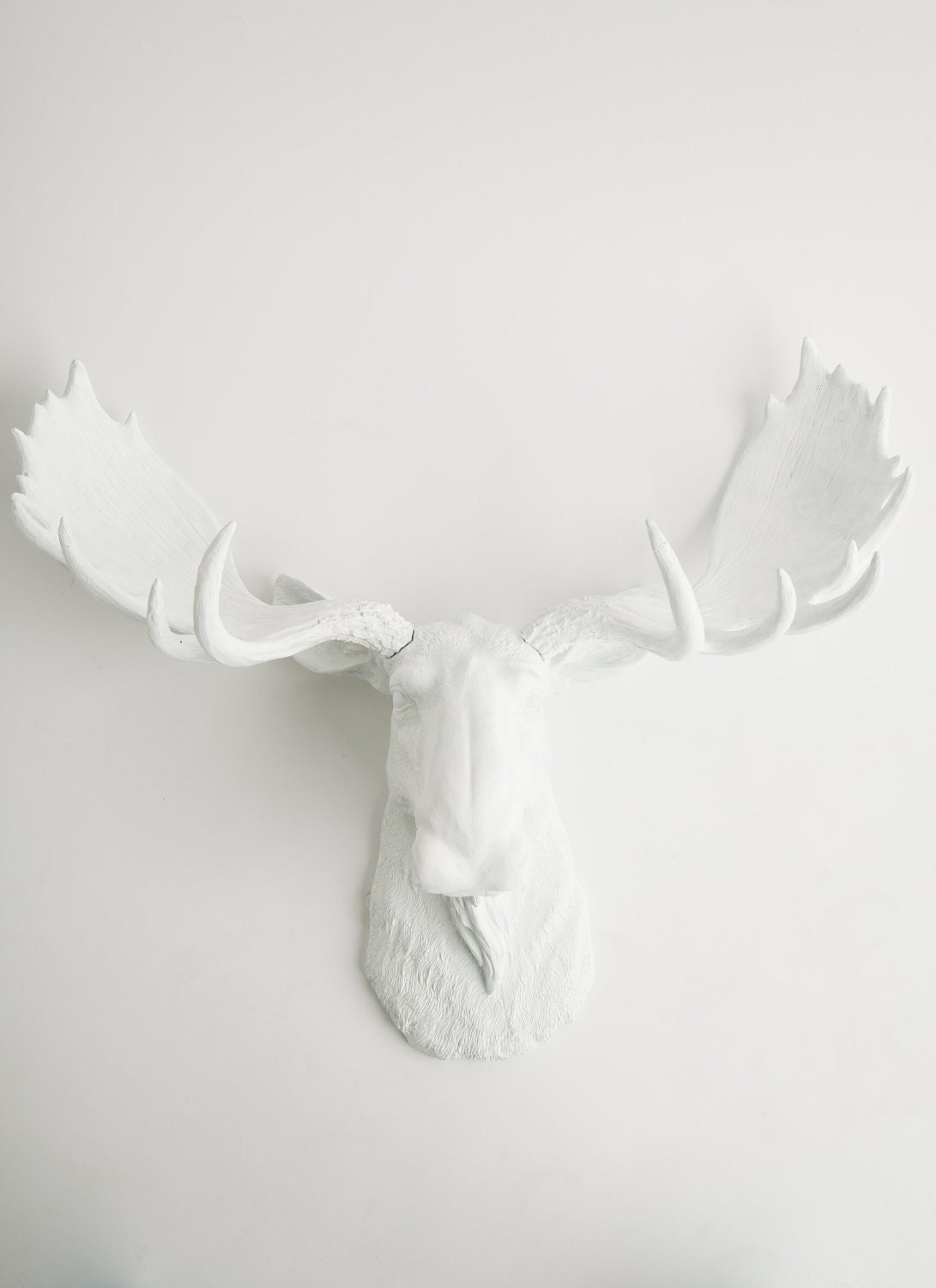The Edmonton - White Resin Moose Head- Moose Antlers In White- Moose Decorations