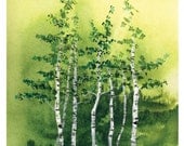 Tranquil Grove - Fine Art Print birch trees green forest aspen woods watercolor landscape painting home wall decor interior Oladesign 8x10