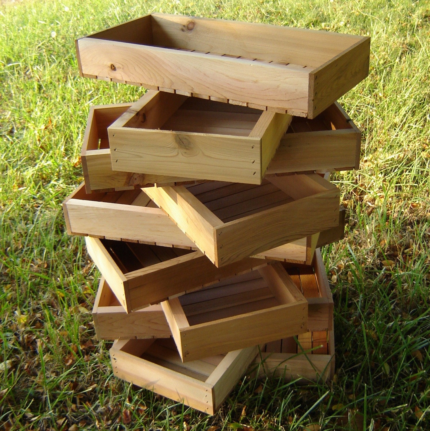Large Wooden Nursery Flats from Reclaimed Cedar, Pack of Three