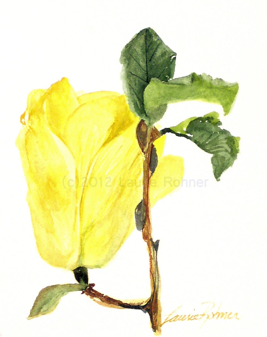 Botanical Watercolor Painting Yellow Magnolia Garden Flowers Artwork by Laurie Rohner