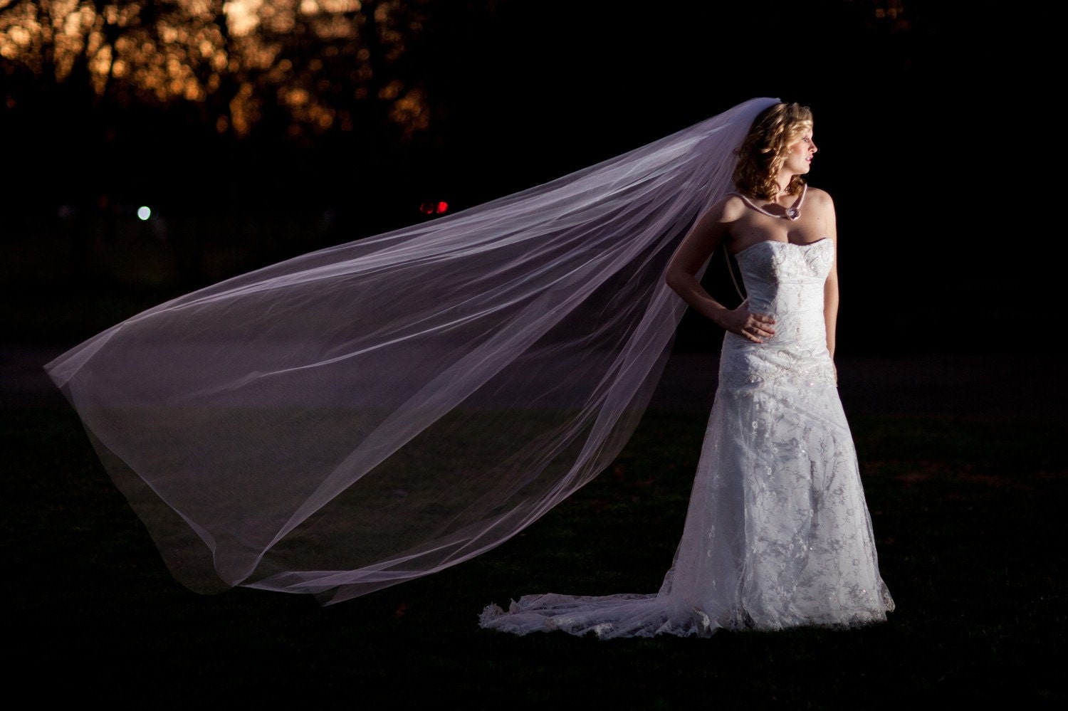 Swarovski Double Crystal Veil with blusher Cathedral Length, Swarovski Crystal Rhinestones, 108 in champagne, bridal veil