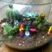 TERRARIUM Gnome Mushroom Snail DECORATION 5 Piece Set - Made to order