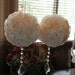 Kissing Balls - 7" Ivory Flower Pomanders with real crystals