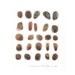 Watercolor painting Beach Finds pebbles coffee brown original painting gift for man men