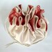 Dollar Dance Wedding Bag No Pockets Champagne and Coral