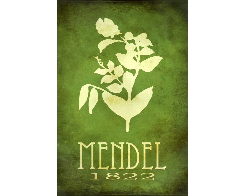 Gregor Mendel 12x18 Steampunk Rock Star Scientist Poster - Pea Plant Genetics  Fine Art Print