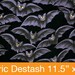 Batty Fabric Remnant