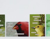 Troubled Birds Postcard Set 1