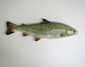 Atlantic Salmon ceramic fish art decorative wall hanging