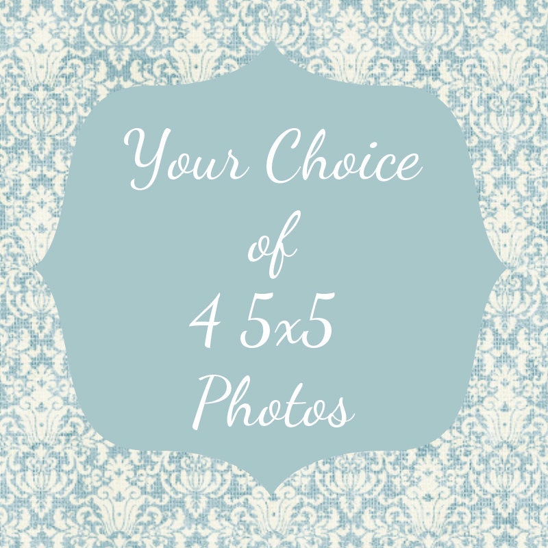Fine Art Photography Set  4 5x5 Prints, modern wall decor, modern room decor